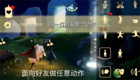 光遇雨林树洞位置揭秘：独家攻略助你轻松解锁秘境