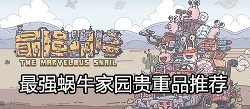 最强蜗牛家园贵重物品搭配攻略：打造完美家园必备秘籍