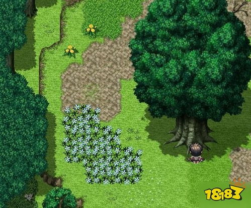 大千世界小美伙伴攻略：高效获取方法揭秘