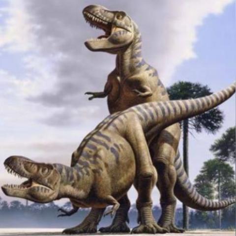 热门动物游戏盘点:揭秘十大最受欢迎的动物题材佳作 热门动物游戏盘点:揭秘十大最受欢迎的动物题材佳作