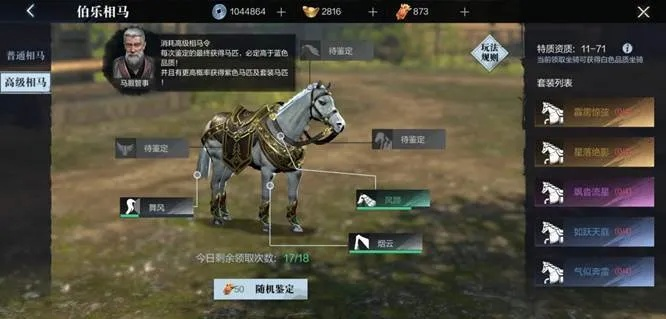 猎手之王战马攻略：骑袭战斗武器精选推荐，提升战斗力秘籍！