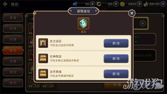 剑皇龙玉搭配攻略：剑皇玩家必看，高效搭配新技巧揭秘