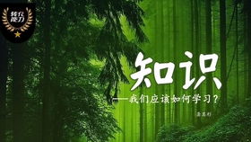 光遇千鸟图快速入门攻略：揭秘独门进入技巧