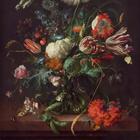 蜗牛肖像升级攻略：最强蜗牛如何高效提升，独家秘籍大公开