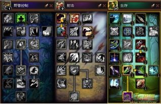 猎手之王独家揭秘：道具功能解析，助你称霸战场！