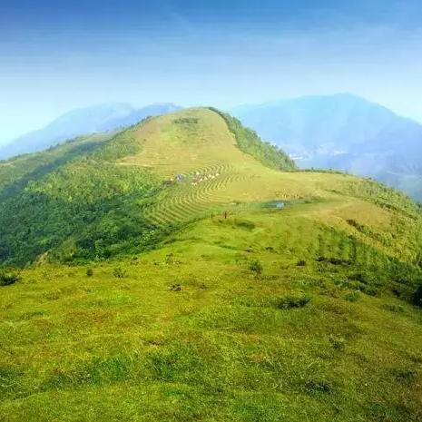 迷雾之岭第20关通关秘籍:高效攻略助你一臂之力 迷雾之岭第20关通关秘籍:高效攻略助你一臂之力