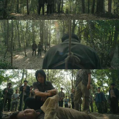 迷雾之岭全关卡攻略揭秘:高效通关秘籍大公开 迷雾之岭全关卡攻略揭秘:高效通关秘籍大公开