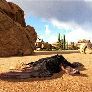 光遇方舟位置揭秘!遗落方舟快速导航攻略 光遇方舟位置揭秘!遗落方舟快速导航攻略