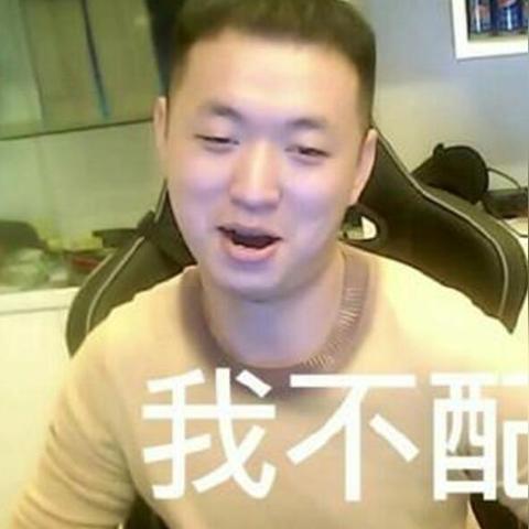 《当真变熊猫妹》第14关攻略：独家技巧助你轻松通关，智慧升级！