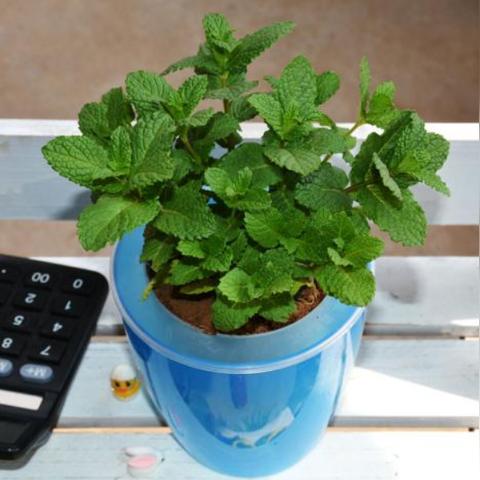 元素方尖新手必看！开局攻略全解析，轻松上手攻略秘籍