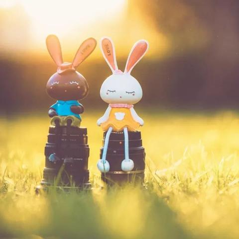 《只愿君心似我心》第3关通关秘籍：轻松解锁隐藏技巧攻略