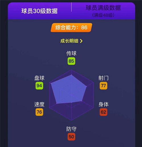 实况球会经理布鲁诺之旅攻略：深度解析高效管理技巧