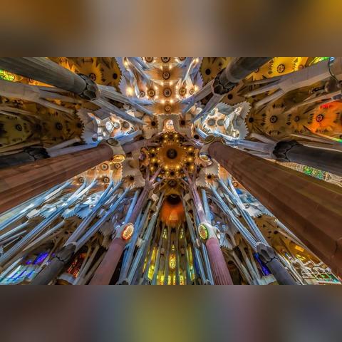 最强蜗牛黄金麦穗获取攻略：高效秘籍大揭秘