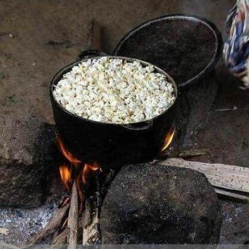 非洲之星攻略:最强蜗牛高效获取技巧揭秘 非洲之星攻略:最强蜗牛高效获取技巧揭秘