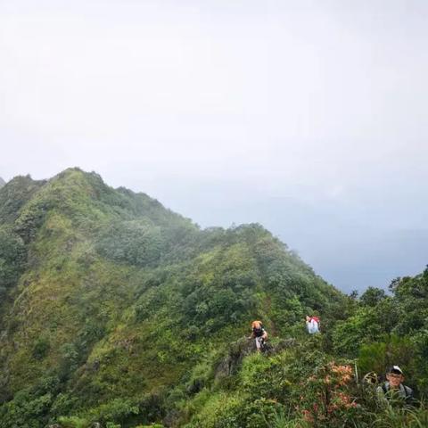 蜗牛伙伴升级攻略:揭秘哪些伙伴最值得优先培养,助你轻松登顶! 蜗牛伙伴升级攻略:揭秘哪些伙伴最值得优先培养,助你轻松登顶!