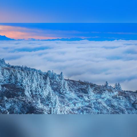 极乐谷避坑必看！烟雨江湖独家生存法则揭秘