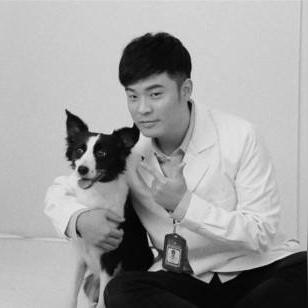 破解史密斯探员豪宅潜入谜题攻略，轻松通关第12关技巧揭秘