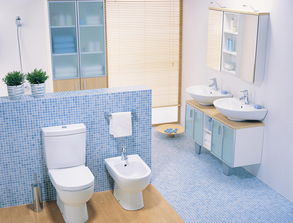 《浴室挑战》攻略揭秘:轻松通关精致浴室关,掌握隐藏技巧 《浴室挑战》攻略揭秘:轻松通关精致浴室关,掌握隐藏技巧