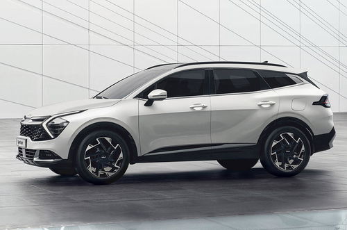 大胆出差关攻略揭秘:高效通关技巧大公开 大胆出差关攻略揭秘:高效通关技巧大公开