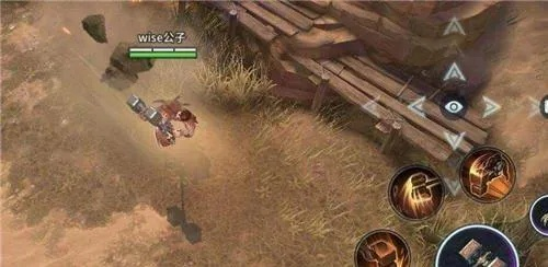 猎手之王剑盾攻略：剑盾技能详解与实战技巧分享