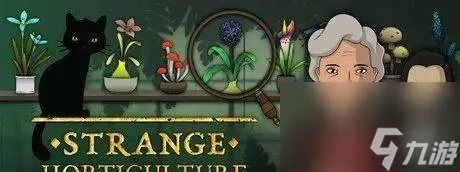 罗曼圣诞探案集第五章攻略:揭秘通关秘籍,轻松解锁第五章! 罗曼圣诞探案集第五章攻略:揭秘通关秘籍,轻松解锁第五章!