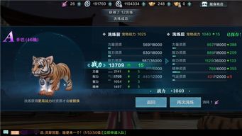 火火猴宠物技能进化攻略,解锁最强战斗力秘籍! 火火猴宠物技能进化攻略,解锁最强战斗力秘籍!