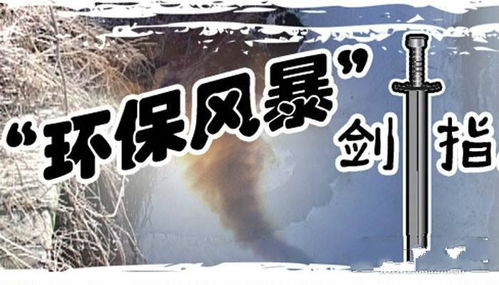 神探小秀才66关通关秘籍：高效攻略助你一关过瘾