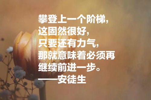 十大哲理游戏盘点：深度体验，探寻人生智慧之作