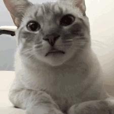 江湖绝学秘籍解锁，掌握隐藏武学新攻略！