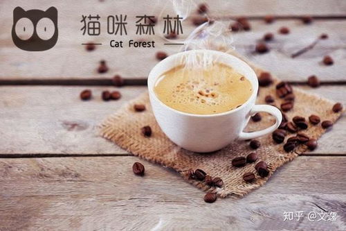 猫语咖啡皮蛋技能解析:高效提升战斗力的独家攻略揭秘 猫语咖啡皮蛋技能解析:高效提升战斗力的独家攻略揭秘