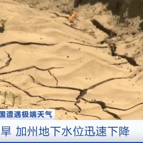 摩尔庄园手游特产作物获取攻略：高效秘籍大揭秘