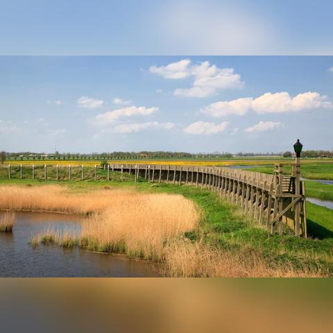 荒岛逃脱逃离医院2第20关攻略：揭秘飞翔的荷兰人逃脱技巧，轻松通关！