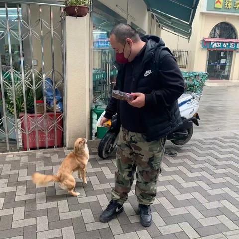 流浪日记新手必看！快速通关攻略，解锁隐藏秘籍！