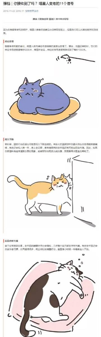 喵星人科技进化秘籍：高效研究攻略全解析