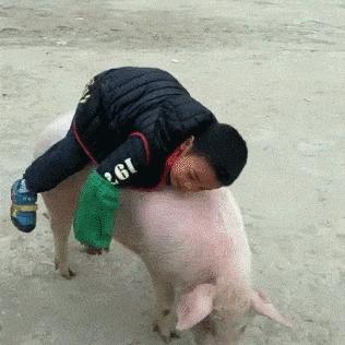 班主任模拟器99关地铁3通关秘籍，高效攻略推荐必看