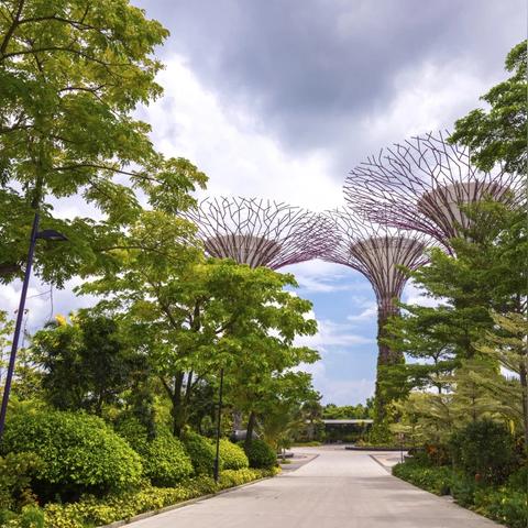 热门攻略盘点：揭秘热门教程游戏大全秘籍