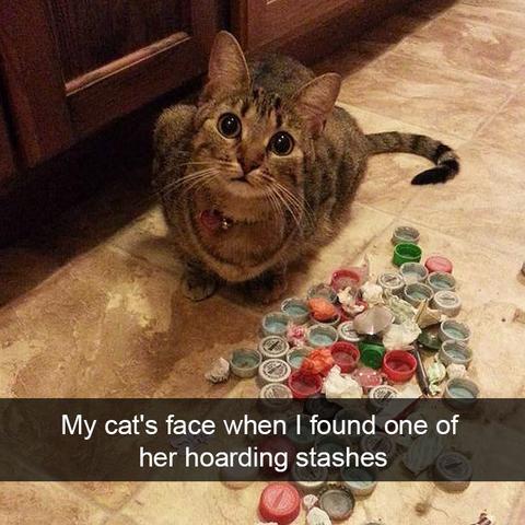 喵星人奇遇攻略：揭秘触发技巧，轻松解锁游戏新篇章