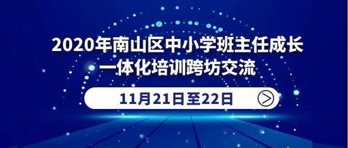 班主任模拟器91关攻略：山区支教挑战全解析，高效通关技巧揭秘