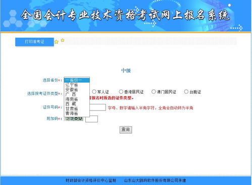 妙啊第17关攻略揭秘：高效通关技巧，轻松解锁新境界
