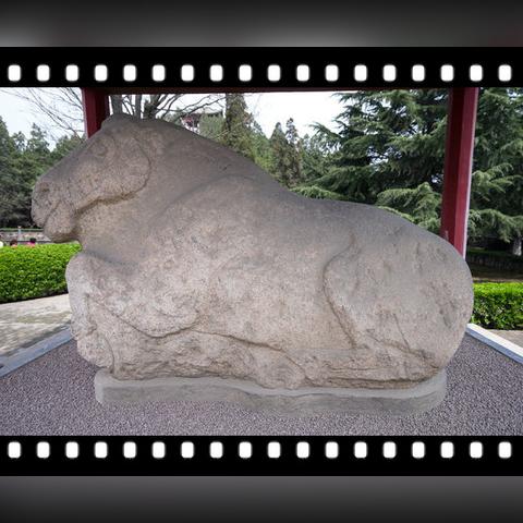 妙啊第16关通关秘籍：图文攻略+独家技巧，轻松解锁隐藏关卡