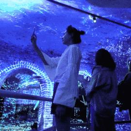 十大放置游戏盘点：揭秘最热门的“沉浸式”休闲体验