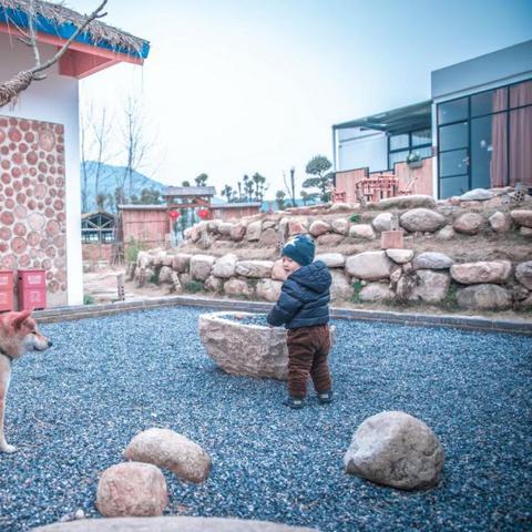 小森生活木头刷新点揭秘：全木头掉落位置攻略汇总