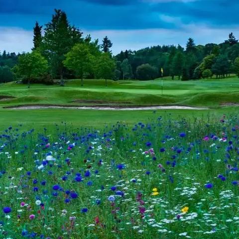 决战高尔夫礼包码获取攻略：一网打尽兑换秘籍与领取地址