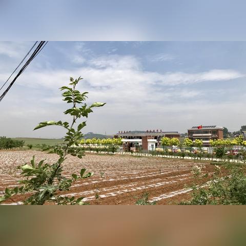 班主任模拟器29关美术课通关技巧揭秘！高效攻略助你轻松过关