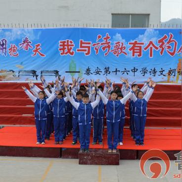 班主任模拟器第16关通关秘籍：轻松解锁第十六关攻略技巧