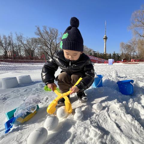 《帮我开开门》第31关通关秘籍：高效攻略解锁新境界