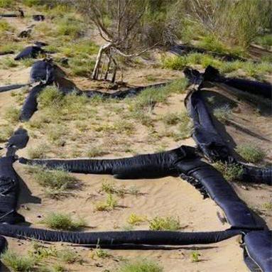 恶果之地沙漠通关攻略：第二关高效打法揭秘！