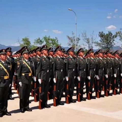 228盘极限7紫召唤合成攻略,掌握必胜技巧! 228盘极限7紫召唤合成攻略,掌握必胜技巧!