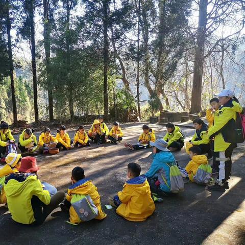 编程游戏盘点：揭秘最热编程游戏排行，解锁编程乐趣新境界