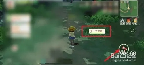 小森生活土拨鼠分布攻略:揭秘隐藏宝藏位置 小森生活土拨鼠分布攻略:揭秘隐藏宝藏位置